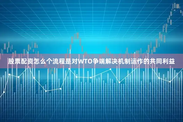 股票配资怎么个流程是对WTO争端解决机制运作的共同利益